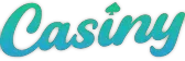 casiny-casino.website